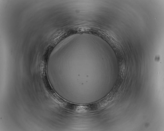 X0000094900222200712201142