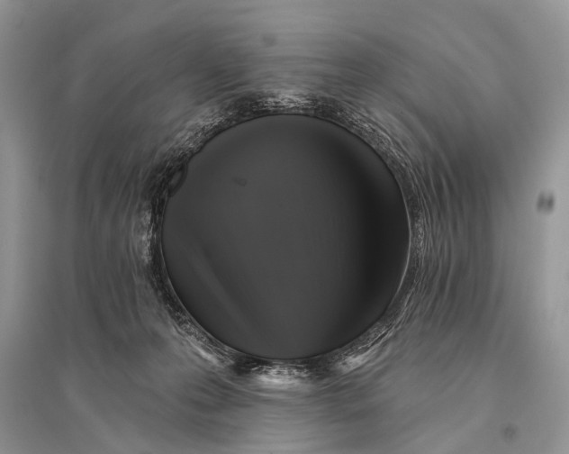 X0000094900223200712201142