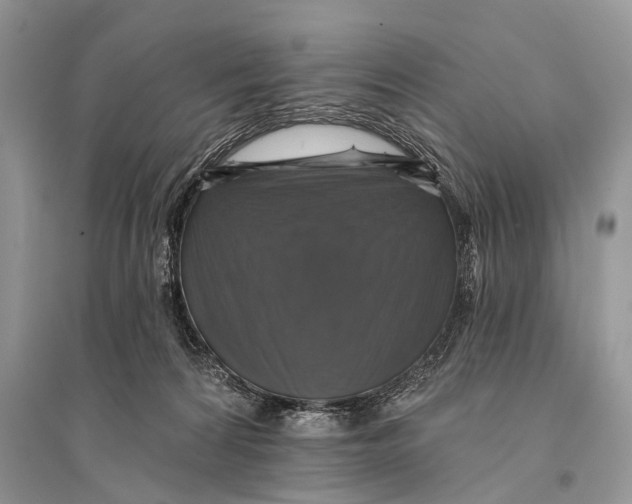 X0000094900224200712201141