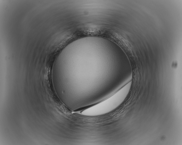 X0000094900225200712201141