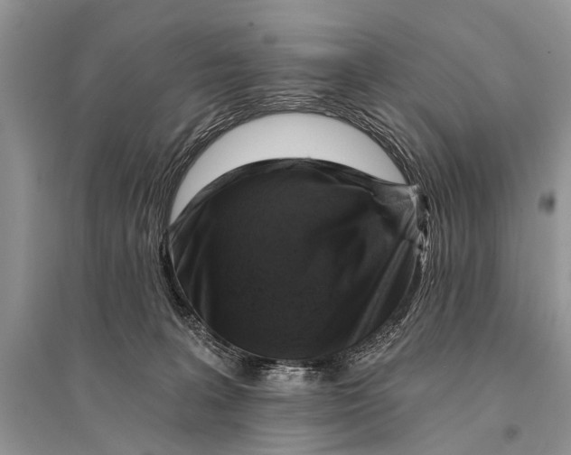 X0000094900227200712201141