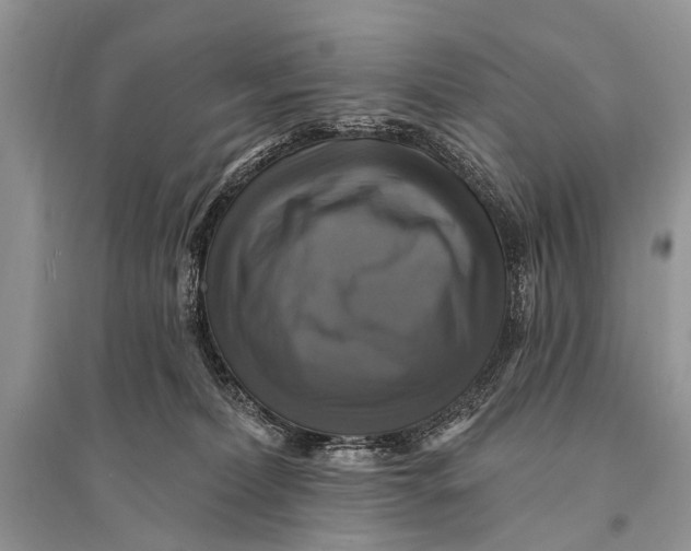 X0000094900228200712201141