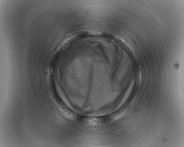 X0000094900229200712201141