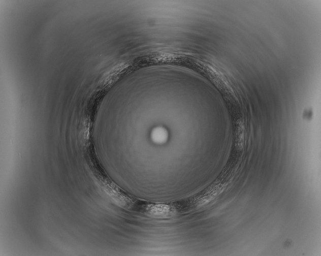 X0000094900230200712201141