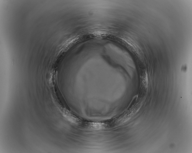 X0000094900233200712201141