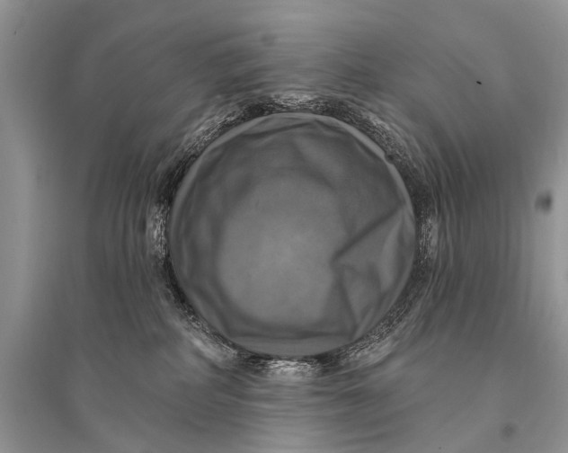 X0000094900234200712201141