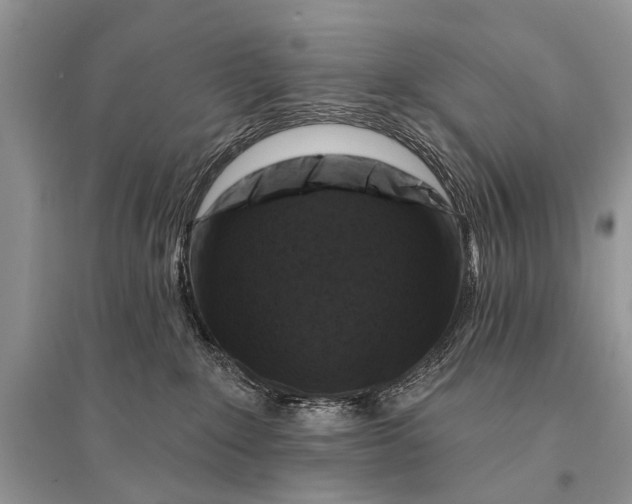 X0000094900235200712201141