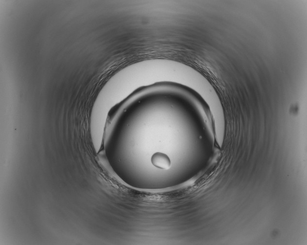 X0000094900237200712201141