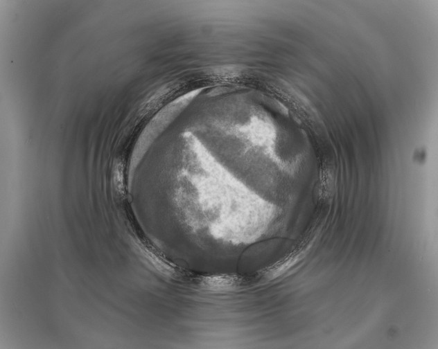 X0000094900238200712201141