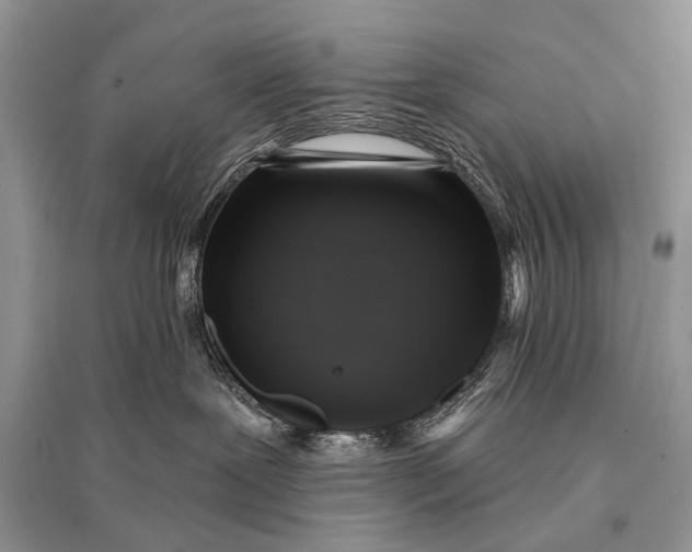 X0000094900239200712201141