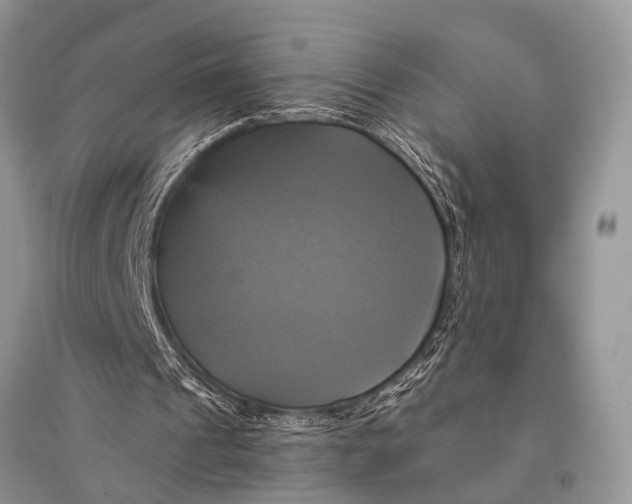 X0000094900241200712201141