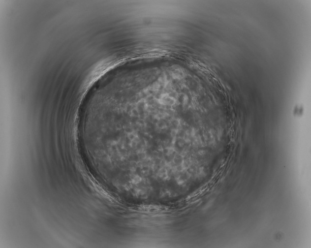 X0000094900242200712201141