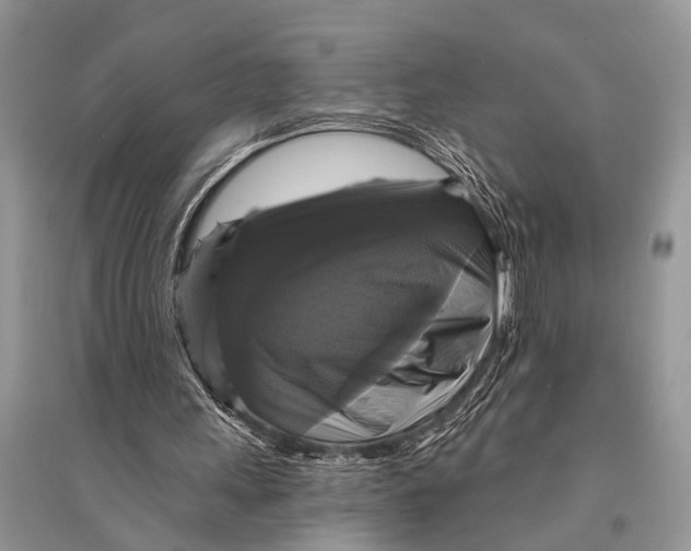 X0000094900243200712201141