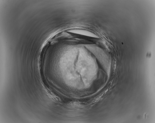 X0000094900244200712201141