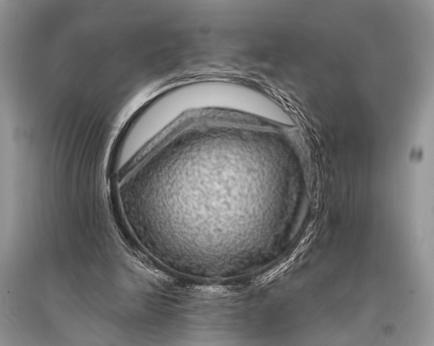 X0000094900246200712201141