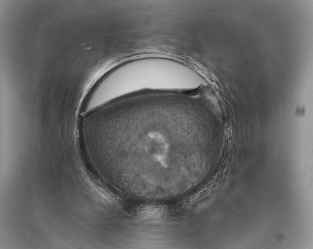 X0000094900248200712201141