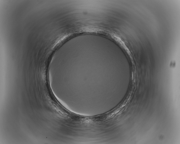 X0000094900249200712201141