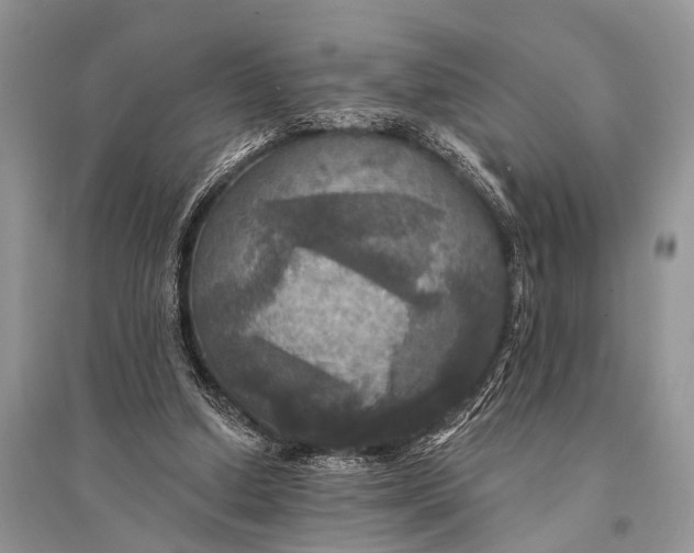 X0000094900250200712201141