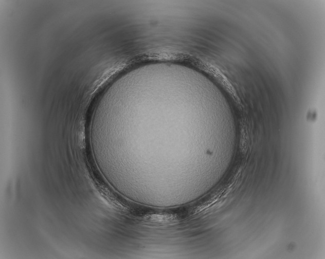 X0000094900251200712201141