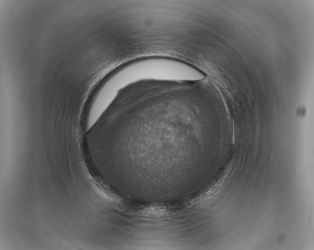 X0000094900252200712201141