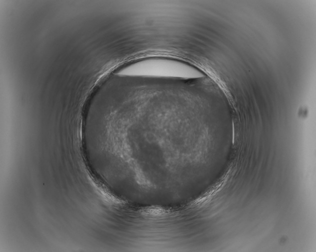 X0000094900253200712201141