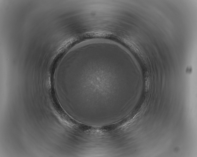 X0000094900254200712201141