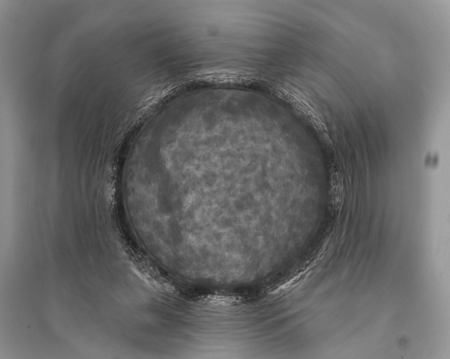 X0000094900255200712201141