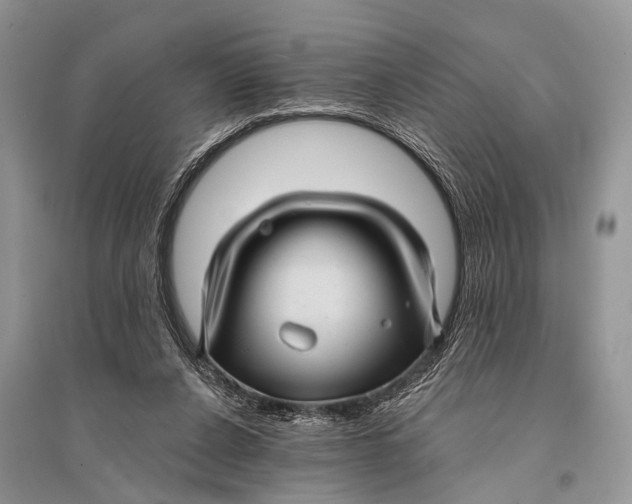 X0000094900256200712201141