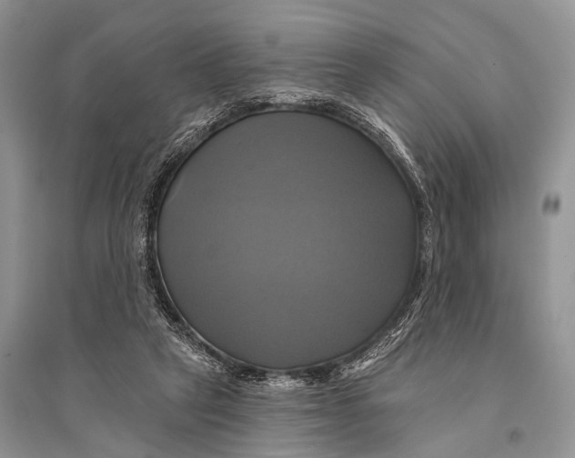 X0000094900257200712201141