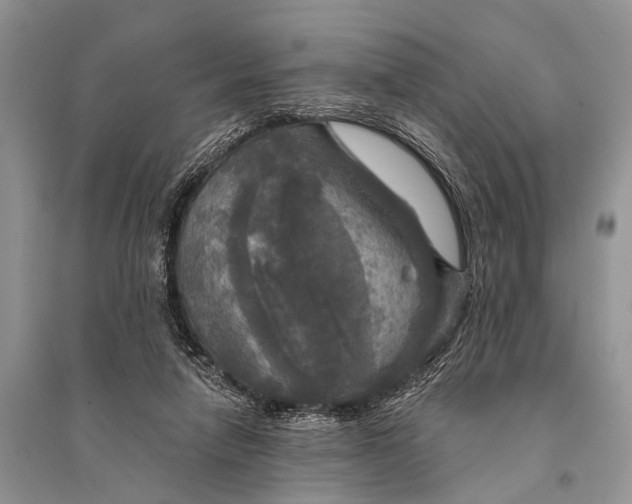 X0000094900258200712201141