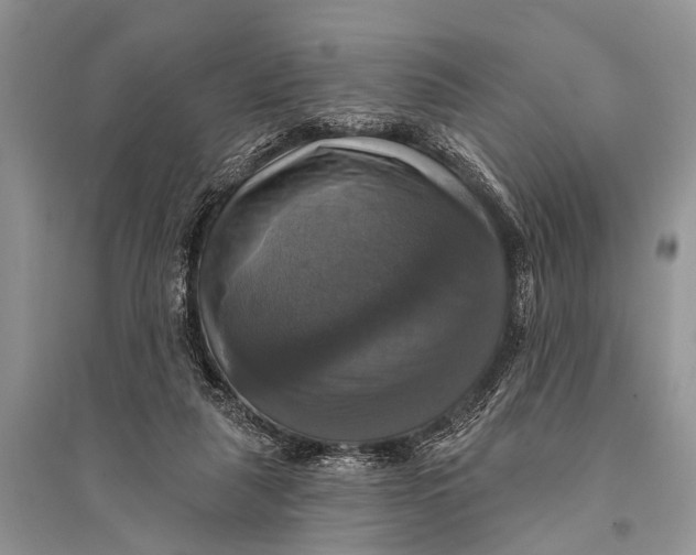 X0000094900259200712201141