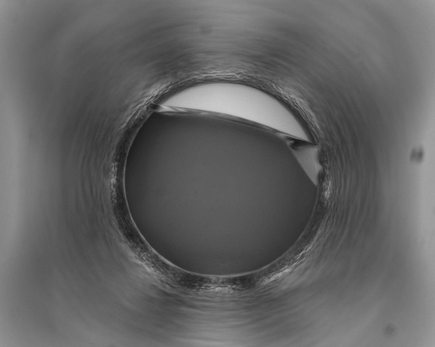 X0000094900260200712201141