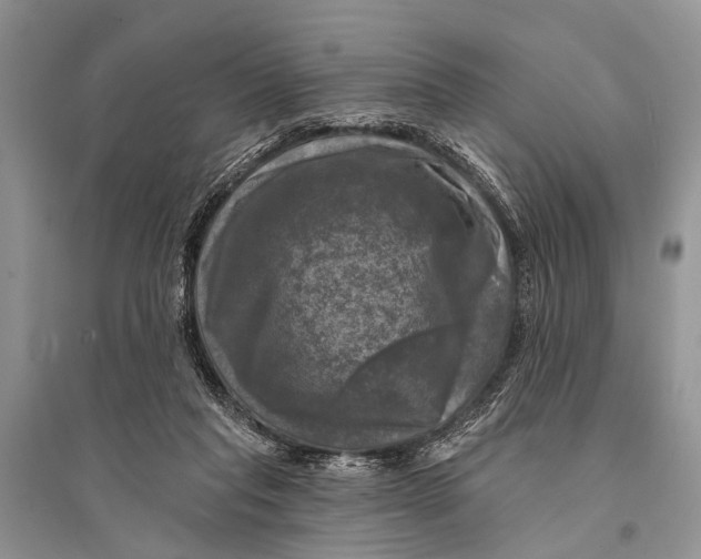 X0000094900261200712201141