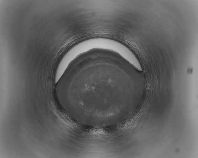 X0000094900262200712201141