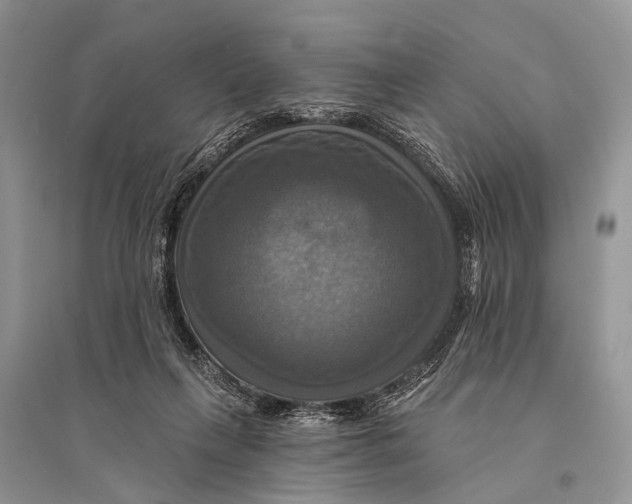 X0000094900263200712201141