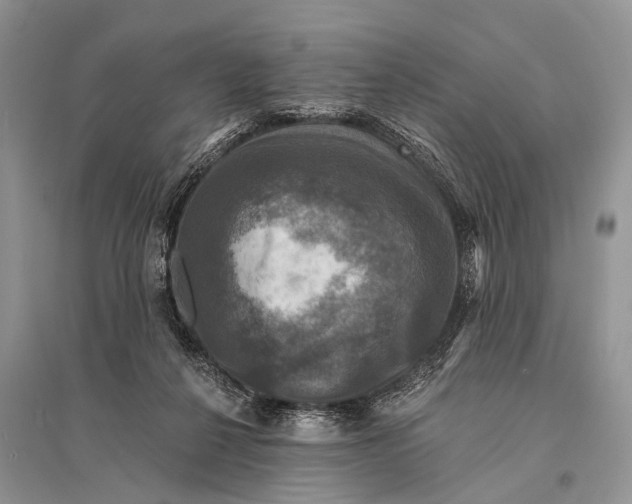 X0000094900264200712201141