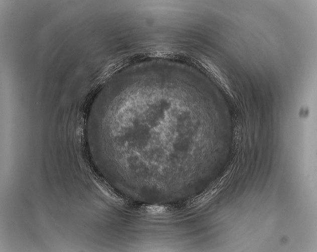 X0000094900265200712201141