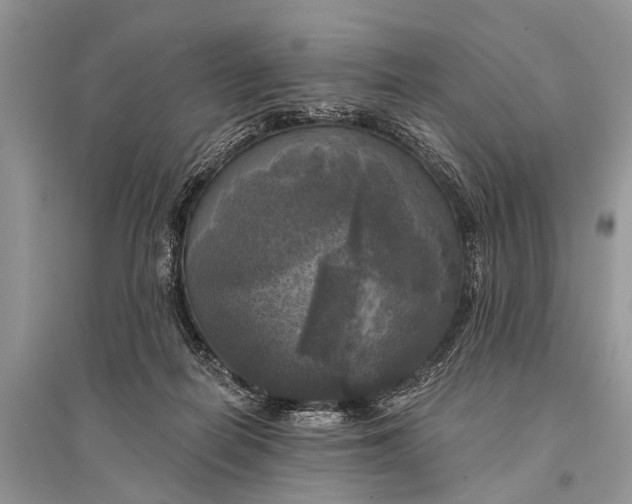 X0000094900266200712201141