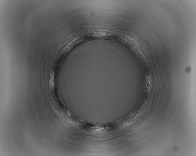 X0000094900267200712201141