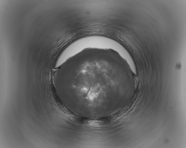 X0000094900268200712201141