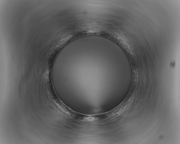 X0000094900269200712201141