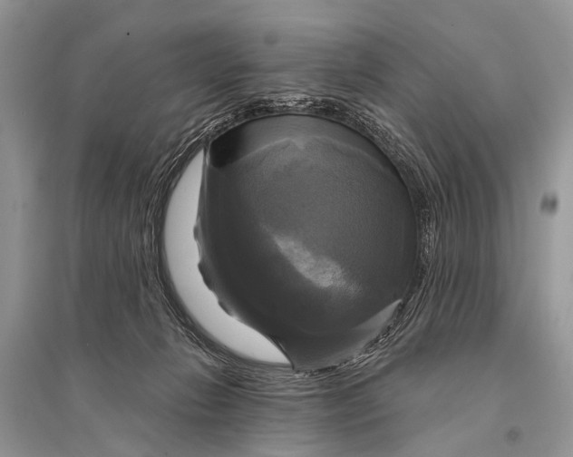 X0000094900270200712201141