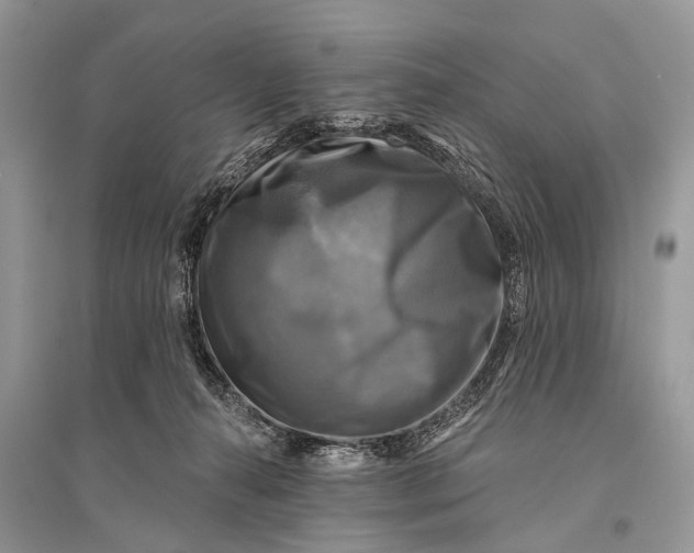 X0000094900272200712201141