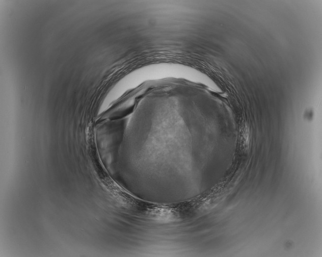 X0000094900276200712201141