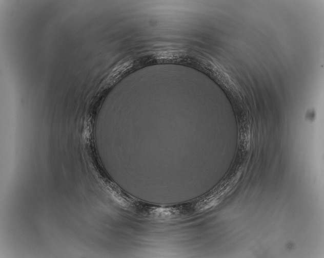 X0000094900277200712201141