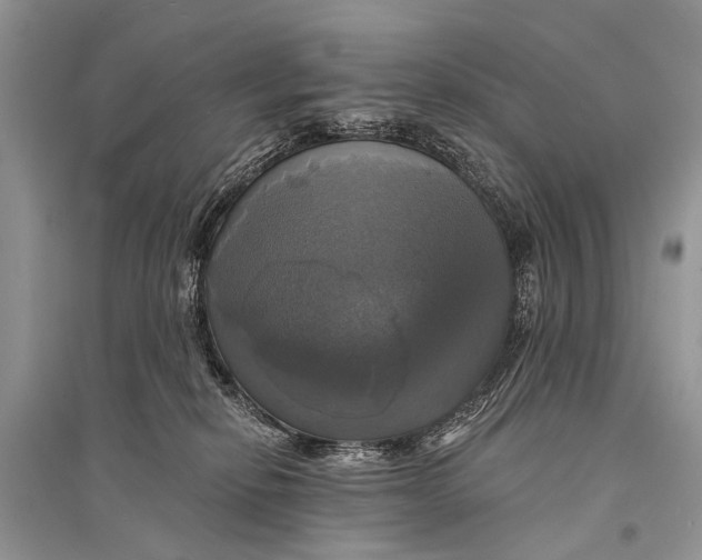 X0000094900278200712201141