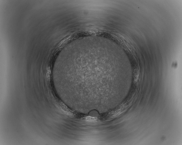 X0000094900279200712201141