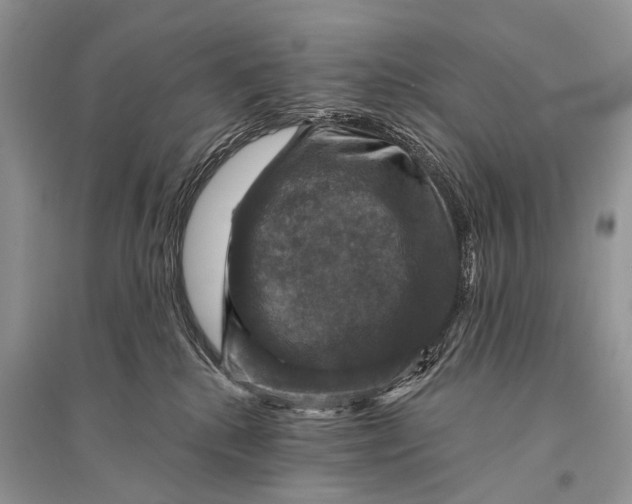 X0000094900280200712201141