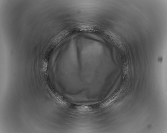 X0000094900281200712201141