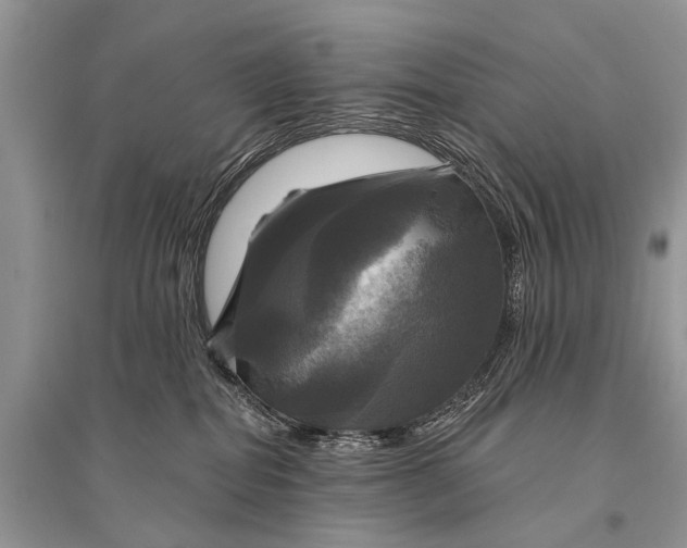 X0000094900282200712201141